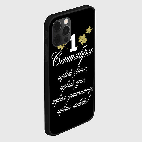 Чехол iPhone 12 Pro 1 сентября - первый звонок / 3D-Черный – фото 2