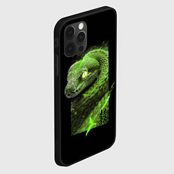 Чехол для iPhone 12 Pro Двойная удача змеи, цвет: 3D-черный — фото 2
