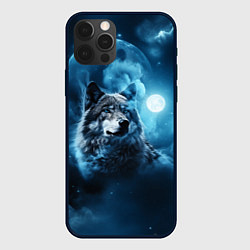 Чехол для iPhone 12 Pro Волк ночное синее небо, цвет: 3D-черный