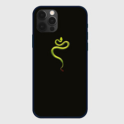 Чехол для iPhone 12 Pro Символ Нового 2025 года свернутая змея, цвет: 3D-черный