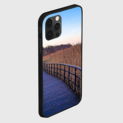 Чехол для iPhone 12 Pro Камышовые плавни на Финском заливе, цвет: 3D-черный — фото 2