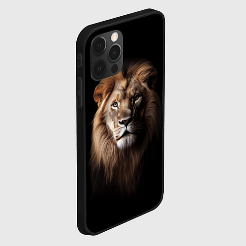 Чехол iPhone 12 Pro Mufasa / 3D-Черный – фото 2