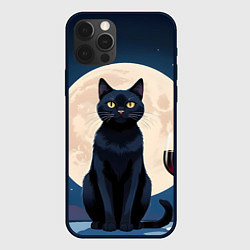 Чехол для iPhone 12 Pro Кот с вином под луной, цвет: 3D-черный