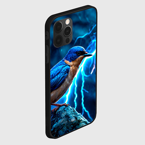Чехол iPhone 12 Pro Ласточка в грозу / 3D-Черный – фото 2
