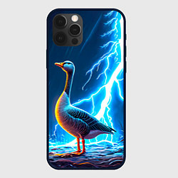 Чехол для iPhone 12 Pro Гусь и разряд молнии, цвет: 3D-черный
