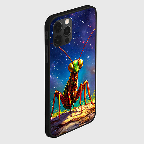Чехол iPhone 12 Pro Богомол и звездное небо / 3D-Черный – фото 2