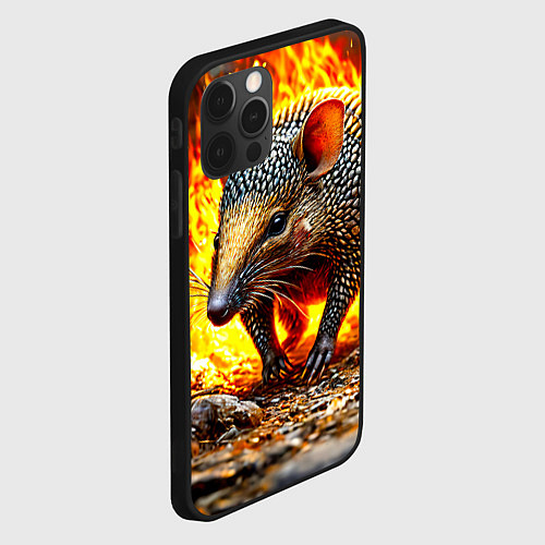 Чехол iPhone 12 Pro Броненосец в огне / 3D-Черный – фото 2