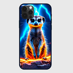 Чехол для iPhone 12 Pro Сурикат и удар молнии, цвет: 3D-черный
