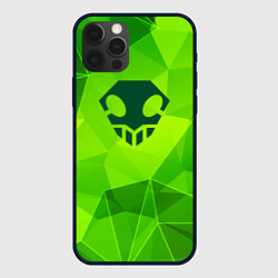 Чехол для iPhone 12 Pro Bleach green poly, цвет: 3D-черный