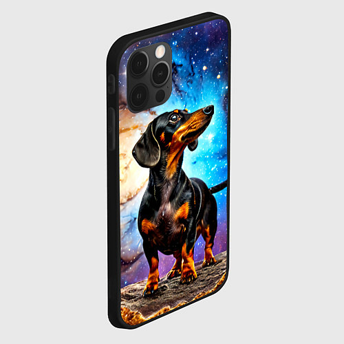 Чехол iPhone 12 Pro Такса в космосе / 3D-Черный – фото 2