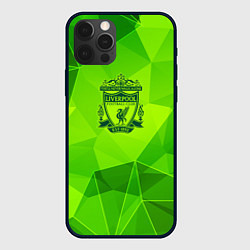Чехол для iPhone 12 Pro Liverpool green poly, цвет: 3D-черный