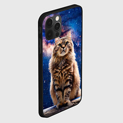 Чехол для iPhone 12 Pro Сибирская кошка в космосе, цвет: 3D-черный — фото 2