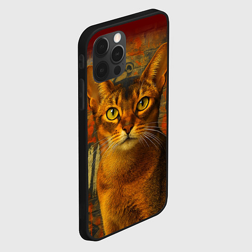 Чехол iPhone 12 Pro Абиссинская кошка на фоне кирпичной стены с граффи / 3D-Черный – фото 2