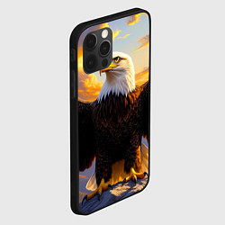 Чехол для iPhone 12 Pro Белоголовый орлан владыка небес, цвет: 3D-черный — фото 2