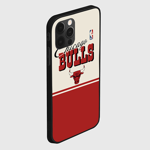 Чехол iPhone 12 Pro NBA Chicago Bulls vintage / 3D-Черный – фото 2