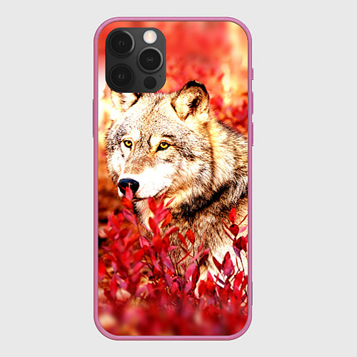 Чехол iPhone 12 Pro Осенний волк / 3D-Малиновый – фото 1