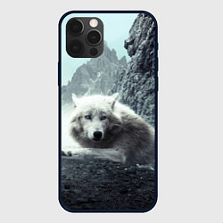 Чехол для iPhone 12 Pro Волк в горах, цвет: 3D-черный