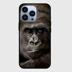 Чехол для iPhone 13 Pro Глаза гориллы, цвет: 3D-черный
