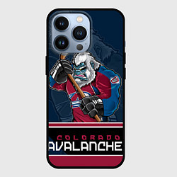 Чехол для iPhone 13 Pro Colorado Avalanche, цвет: 3D-черный