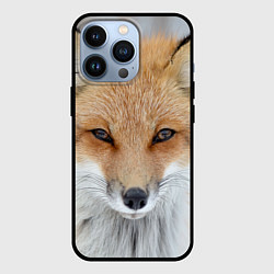 Чехол для iPhone 13 Pro Зимняя лиса, цвет: 3D-черный