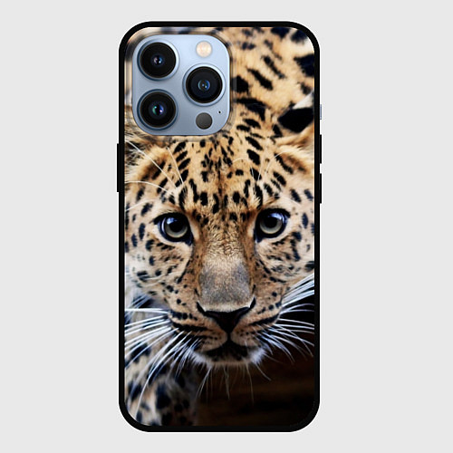 Чехол iPhone 13 Pro Дикая кошка / 3D-Черный – фото 1