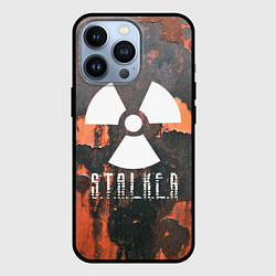 Чехол для iPhone 13 Pro S.T.A.L.K.E.R: Orange Toxic, цвет: 3D-черный