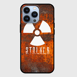 Чехол для iPhone 13 Pro S.T.A.L.K.E.R: Steampunk, цвет: 3D-черный