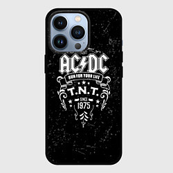 Чехол для iPhone 13 Pro AC/DC: Run For Your Life, цвет: 3D-черный