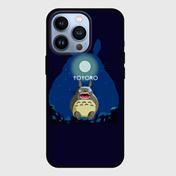 Чехол для iPhone 13 Pro Ночной Тоторо, цвет: 3D-черный
