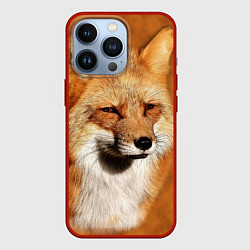 Чехол для iPhone 13 Pro Хитрая лисичка, цвет: 3D-красный