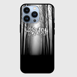 Чехол для iPhone 13 Pro Темный лес Burzum, цвет: 3D-черный