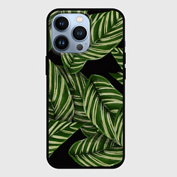Чехол для iPhone 13 Pro Тропические большие листья, цвет: 3D-черный