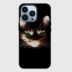 Чехол для iPhone 13 Pro Зеленоглазый кот, цвет: 3D-черный