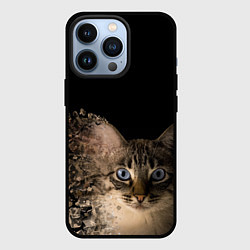 Чехол для iPhone 13 Pro Disintegrating Cat, цвет: 3D-черный