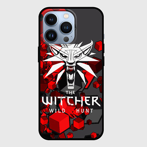 Чехол iPhone 13 Pro The Witcher / 3D-Черный – фото 1