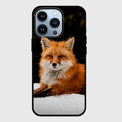 Чехол iPhone 13 Pro Лиса и снег