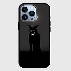 Чехол для iPhone 13 Pro ОБОРОТЕНЬ, цвет: 3D-черный