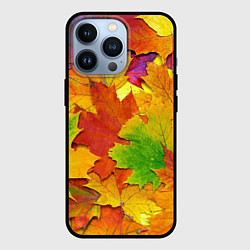 Чехол для iPhone 13 Pro Осенние листья, цвет: 3D-черный
