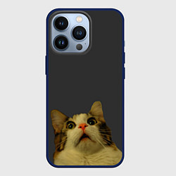 Чехол для iPhone 13 Pro Коте смотрит вверх, цвет: 3D-тёмно-синий