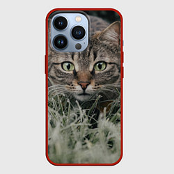Чехол для iPhone 13 Pro Кошка, цвет: 3D-красный