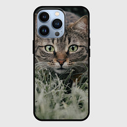 Чехол для iPhone 13 Pro Кошка, цвет: 3D-черный