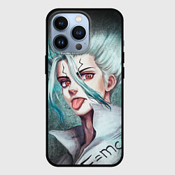 Чехол для iPhone 13 Pro Доктор Стоун, цвет: 3D-черный