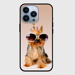 Чехол для iPhone 13 Pro Собака в очках, цвет: 3D-черный
