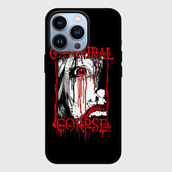 Чехол для iPhone 13 Pro Cannibal Corpse 2, цвет: 3D-черный