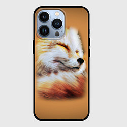 Чехол для iPhone 13 Pro Лисичка, цвет: 3D-черный