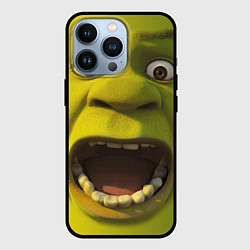 Чехол для iPhone 13 Pro Shrek is Yelling, цвет: 3D-черный