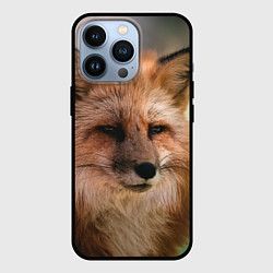 Чехол для iPhone 13 Pro Строгая лисица, цвет: 3D-черный