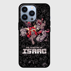 Чехол для iPhone 13 Pro The Binding of Isaac, цвет: 3D-черный