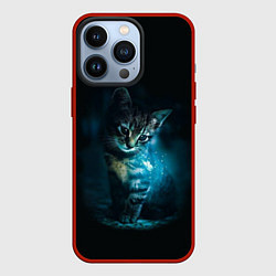 Чехол для iPhone 13 Pro Красивый кот, цвет: 3D-красный