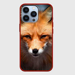 Чехол для iPhone 13 Pro Хитрая лисица, цвет: 3D-красный